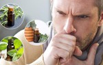 10 loại tinh dầu giúp giảm ho và những lưu ý khi sử dụng