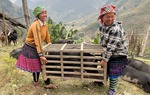 Đồng hành cùng phụ nữ dân tộc thiểu số bước tới tương lai tươi sáng