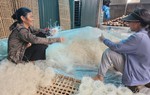 Sổ tay hướng dẫn xây dựng và tổ chức thực hiện dự án đa dạng hóa sinh kế, phát triển mô hình giảm nghèo