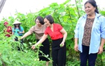 Hỗ trợ kiến thức khởi sự kinh doanh, khởi nghiệp cho hội viên phụ nữ Tuyên Quang