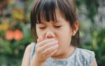 Bị ho có cần ăn kiêng ăn tôm, cua, cá hay không?