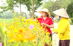Không hội viên, phụ nữ nào đứng ngoài cuộc trong xây dựng nông thôn mới tại địa phương
