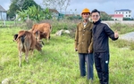 Vợ chồng cụ ông nghèo khó được cộng đồng mạng giúp tìm lại 3 con bò thất lạc