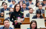 Dự thảo Luật Đất đai (sửa đổi): Lo ngại việc chuyển mục đích sử dụng đất lúa, đất rừng