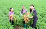 8 cơ chế đặc thù tháo gỡ khó khăn, vướng mắc trong thực hiện các Chương trình mục tiêu quốc gia