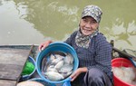 Những phận đời trên sông Hồng ngày cận Tết