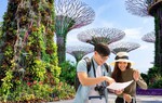 Du lịch nước ngoài hút khách, giá tour nội địa tăng 20% trong dịp Tết Nguyên đán 2024 