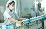 Sữa Mộc Châu kết quả kinh doanh ra sao sau khi về tay Vinamilk?