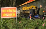 Tăng cường các giải pháp bảo đảm trật tự, an toàn giao thông dịp Tết Giáp Thìn và Lễ hội Xuân 2024