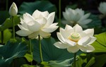 Truyện ngắn: Kết thúc & Bắt đầu