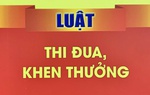 Không tổ chức diễu hành, đón rước danh hiệu thi đua, hình thức khen thưởng được trao tặng