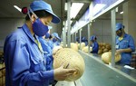 Thu nhập bình quân của lao động Việt Nam tăng 6,9%