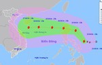 Tin bão TRAMI, cảnh báo thời tiết nguy hiểm và các chỉ đạo ứng phó