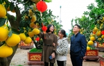 Trình Chính phủ phương án nghỉ Tết Nguyên đán và các dịp nghỉ lễ 2025
