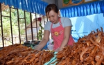 Đồng Tháp: Thực hiện Đề án 01 góp phần thúc đẩy bình đẳng giới 