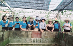 Bắc Giang: Tập huấn trao đổi kinh nghiệm xây dựng nông thôn mới tại Ninh Bình
