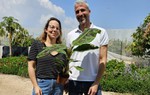 Bột đạm được làm từ lá chuối