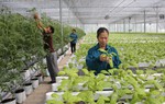 Một số chính sách mới của Chính phủ có hiệu lực từ tháng 11/2024
