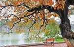 Truyện ngắn: Hẹn với mùa thu