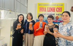 Hà Tĩnh: Hỗ trợ các chủ thể OCOP và hợp tác xã do 
phụ nữ tham gia quản lý 