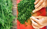 10+ tác dụng của rau thì là đối với sức khỏe