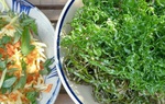Rầm rộ trào lưu ăn lá chuối chiên giòn, loại lá này có công dụng gì?