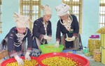 Thách thức với lao động nữ khu vực kinh tế tập thể trong bối cảnh chuyển đổi số