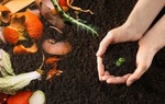 5 giải pháp xử lý rác thải thực phẩm, tránh lãng phí, giảm thiểu ô nhiễm môi trường 