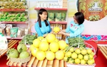 Kết nối kinh doanh, mở rộng thị trường cho các sản phẩm mang thương hiệu của phụ nữ Thanh Hóa 
