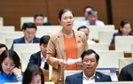 Dự thảo Luật Việc làm (sửa đổi): Cần công bằng với người làm nội trợ, việc làm tự nguyện