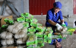 Tháo gỡ "điểm nghẽn" trong tiếp cận vốn tín dụng của hợp tác xã do nữ quản lý