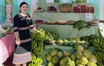 Bình Định: Phụ nữ dân tộc thiểu số thay đổi “nếp nghĩ, cách làm” trong phát triển kinh tế