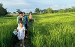 Những hoạt động tích cực của Tổ Truyền thông cộng đồng khu phố Vinh Thanh