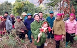 Manh mối giúp công an tìm thấy bé gái 2 tuổi bị mất tích trong rừng