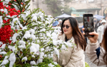 Đi đâu để đón Giáng sinh lung linh như trời Âu