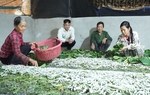 Yên Bái: Mô hình truyền cảm hứng giảm nghèo giúp phụ nữ nỗ lực vươn lên 