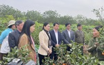 Hội LHPN Hưng Yên chia sẻ kinh nghiệm phân loại, xử lý rác thải sinh hoạt tại hộ gia đình với phụ nữ Hải Dương