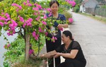 Phụ nữ Công giáo góp phần xây dựng tổ chức Hội vững mạnh