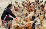 Quảng Ninh giảm nghèo thông qua các hoạt động hỗ trợ phụ nữ phát triển kinh tế