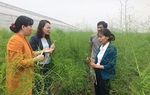 Hội LHPN tỉnh Bắc Ninh: Tham mưu, xây dựng chính sách đặc thù riêng để hỗ trợ phụ nữ khởi nghiệp 