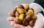 Mùa đông ăn hạt dẻ nướng cần chú ý điều này để không ngộ độc, viêm gan thận