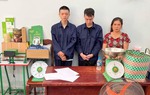 TPHCM: Tội phạm về ma túy diễn biến phức tạp