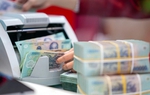 Một số chính sách mới của Chính phủ có hiệu lực từ tháng 2/2024