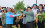 Thủ tướng xuống đồng cấy hái cùng nông dân, động viên sản xuất nông nghiệp