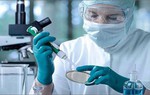 Nghiên cứu dược liệu kháng ung thư ở Việt Nam còn rất khiêm tốn so với nguồn thuốc Nam dồi dào