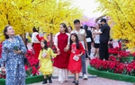 Ban Bí thư yêu cầu nhanh chóng đưa các hoạt động trở lại bình thường ngay sau nghỉ Tết