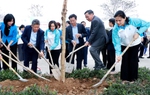 Phụ nữ Thủ đô phấn đấu trồng 7.000 cây xanh, cây ăn trái trong năm 2024