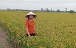 Người cán bộ Hội đam mê công việc “chân lấm tay bùn” 