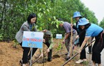 Quảng Ngãi: Hội LHPN các cấp phấn đấu trồng hơn 200 nghìn cây xanh trong năm 2024