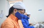 Nữ "lính thợ" với nhiều sáng kiến giá trị cho nghề làm pháo hoa